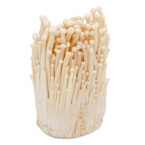 Enoki Mushrooms (Flammulina velutipes)