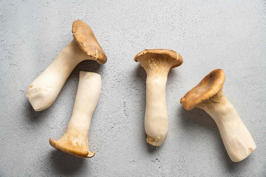 King Oyster Mushroom