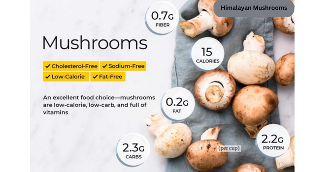Himalayan Mushrooms Nutrition