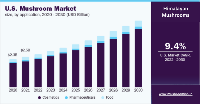 Mushrooms global Market