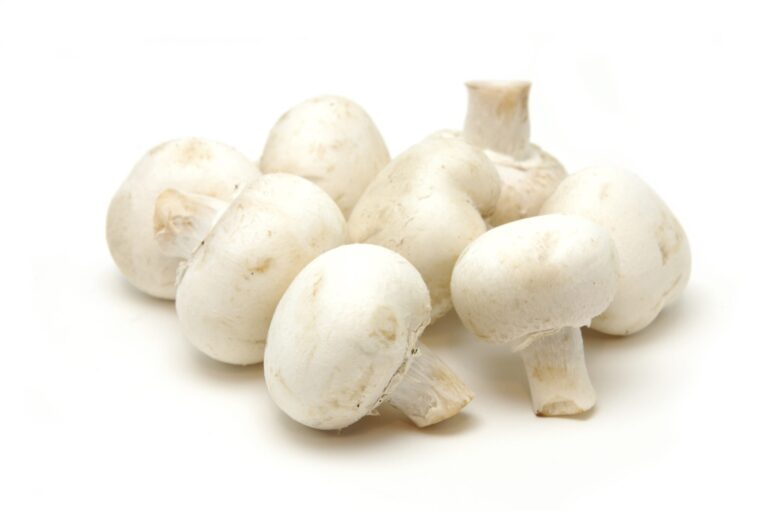 Fresh Button Mushroom