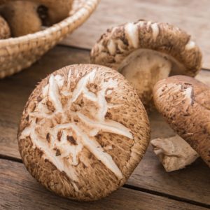 Shiitake Mushrooms